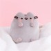 PUSHEEN TOE BEANS